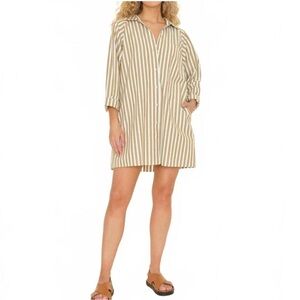 Xirena Flora Collared Striped Long Sleeve Mini Dress Brown